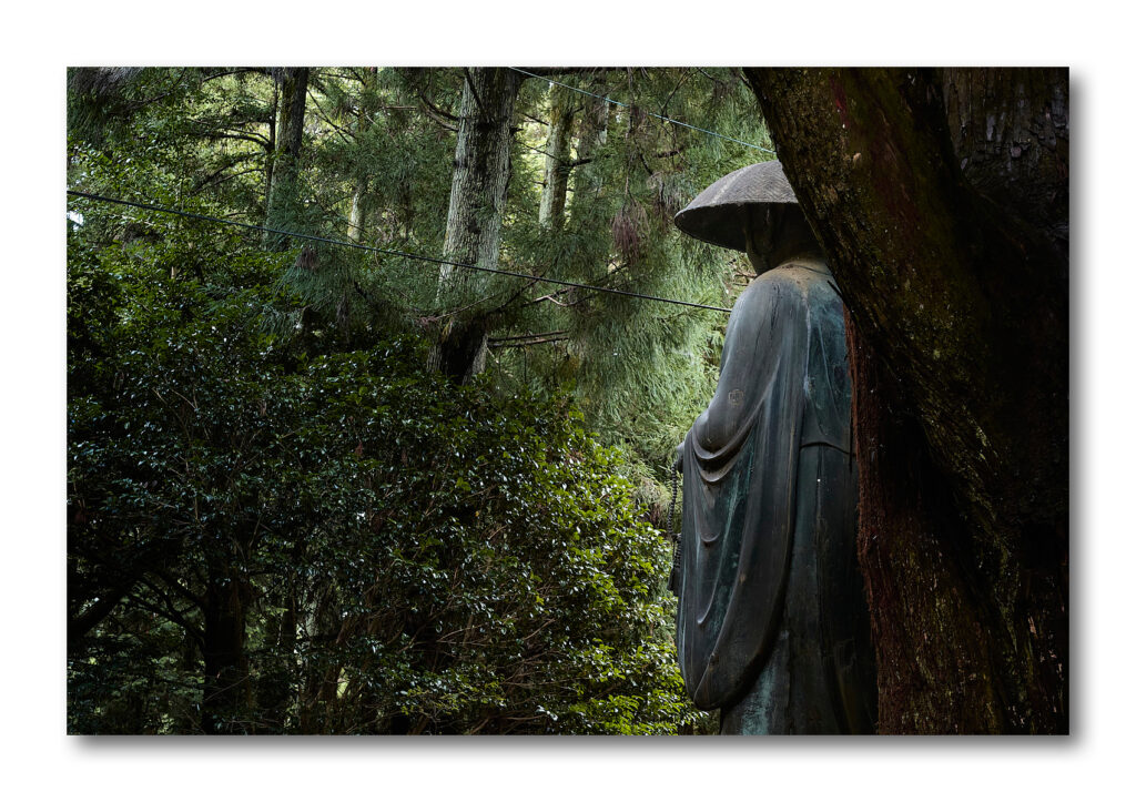 _Y007254 - traitée - final